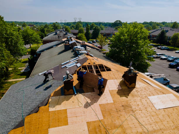 Trusted Storm Damage Roof Repair service in Pembroke Pines, FL - Brentwood Metal Roofing